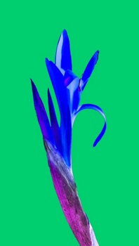 F 058E